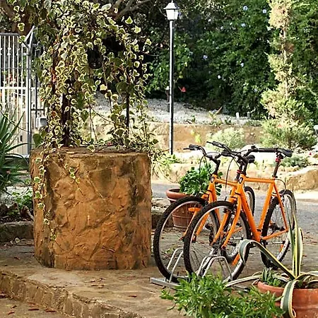 住宿加早餐酒店 卡萨布兰卡住宿加早餐别墅酒店 恩纳