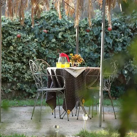 Casablanca 4* Enna