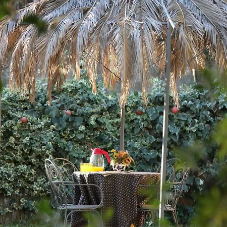 卡萨布兰卡住宿加早餐别墅酒店 住宿加早餐酒店 恩纳